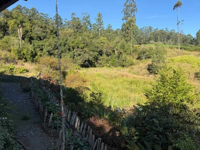 Foto 26 de 39: Terreno em leilão em Vidal Ramos - SC — LOTE 001 Imóvel