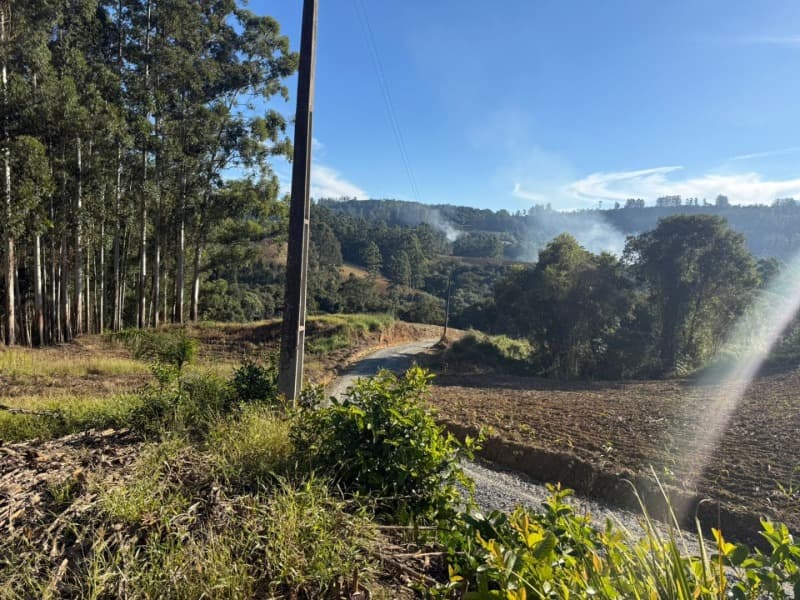 Foto 27 de 39: Terreno em leilão em Vidal Ramos - SC — LOTE 001 Imóvel