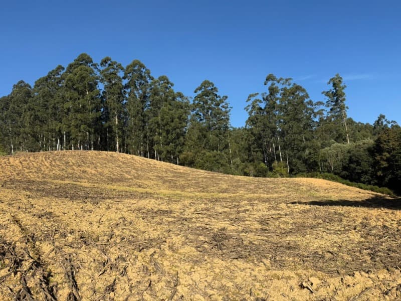 Foto 29 de 39: Terreno em leilão em Vidal Ramos - SC — LOTE 001 Imóvel