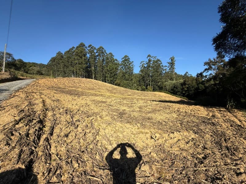 Foto 32 de 39: Terreno em leilão em Vidal Ramos - SC — LOTE 001 Imóvel