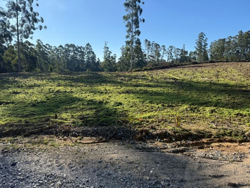 Foto 38 de 39: Terreno em leilão em Vidal Ramos - SC — LOTE 001 Imóvel