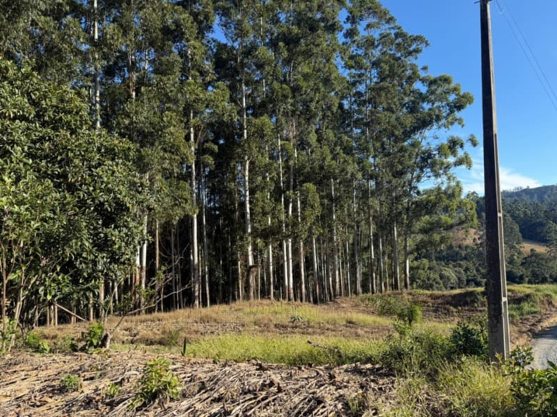 Foto 39 de 39: Terreno em leilão em Vidal Ramos - SC — LOTE 001 Imóvel