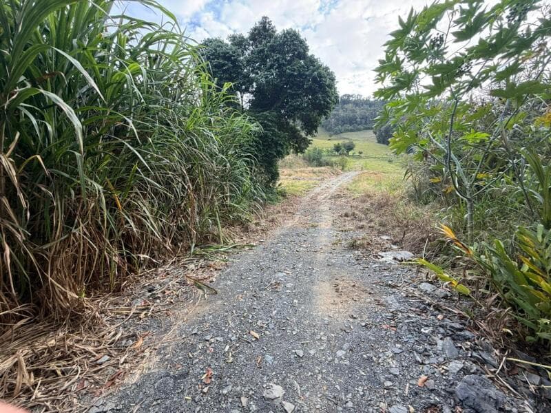 Foto 7 de 12: Terreno em leilão em Petrolândia - SC — LOTE 001 Imóvel