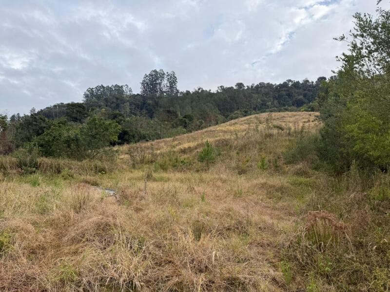 Foto 1 de 12: Terreno em leilão em Petrolândia - SC — LOTE 001 Imóvel
