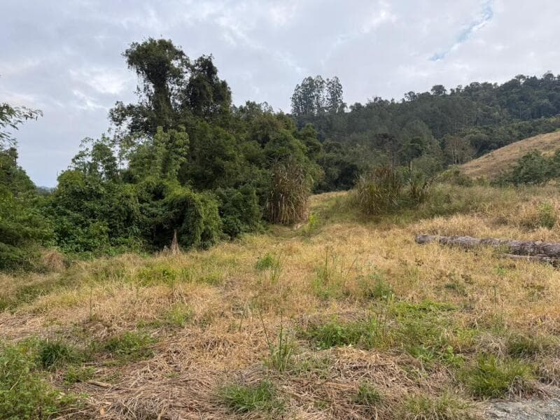 Foto 8 de 12: Terreno em leilão em Petrolândia - SC — LOTE 001 Imóvel