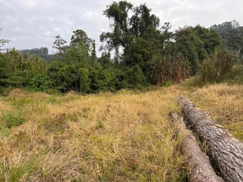Foto 11 de 12: Terreno em leilão em Petrolândia - SC — LOTE 001 Imóvel