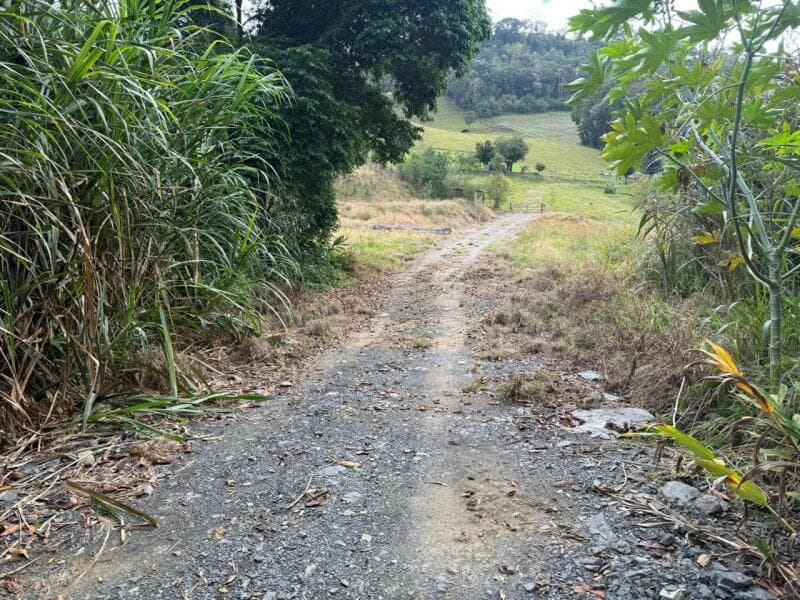Foto 12 de 12: Terreno em leilão em Petrolândia - SC — LOTE 001 Imóvel
