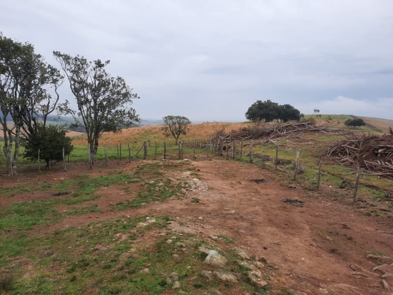 Foto 1 de 5: Area Rural em leilão em Soledade - RS — LOTE 001 Imóvel