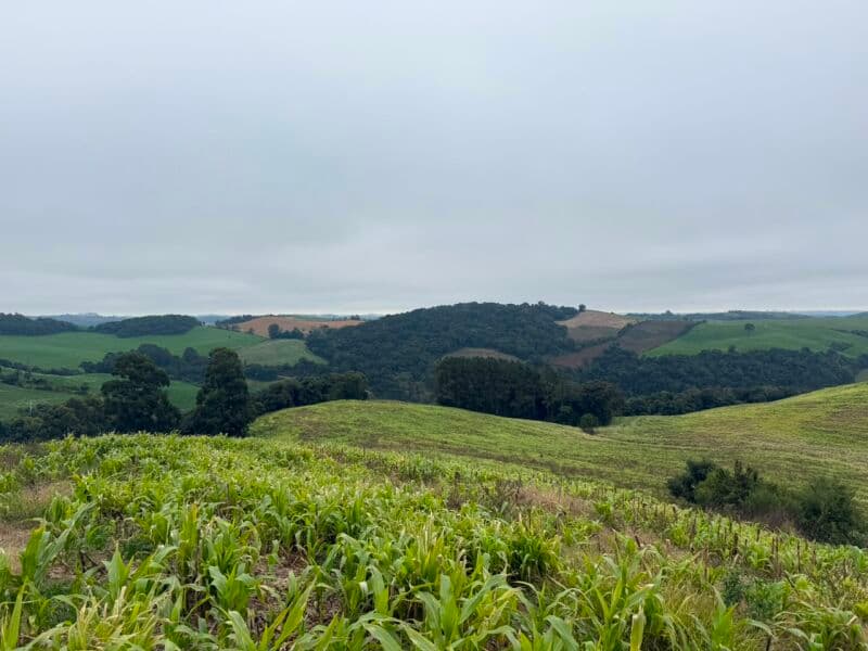 Foto 1 de 7: Terreno em leilão em Nova Alvorada - RS — LOTE 001 imóvel