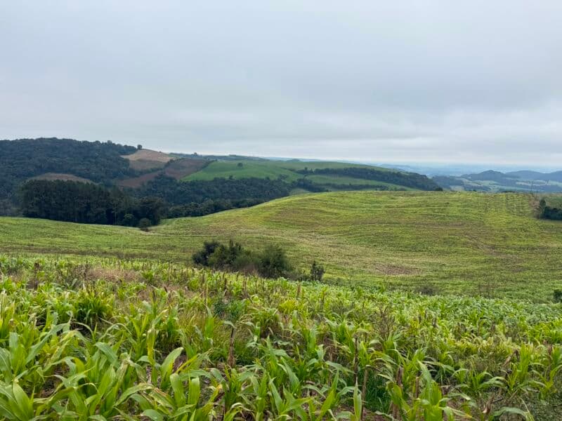 Foto 6 de 7: Terreno em leilão em Nova Alvorada - RS — LOTE 001 imóvel