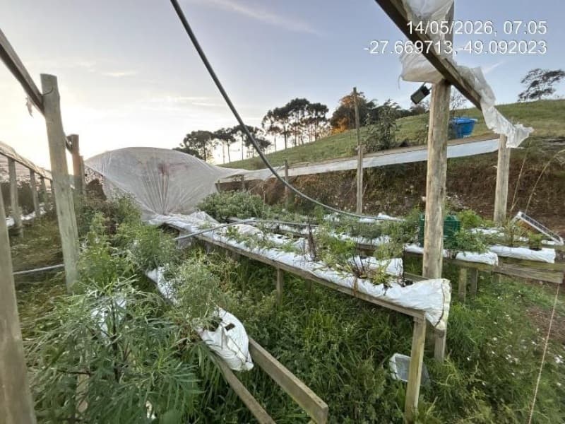 Foto 4 de 12: Area Rural em leilão em Rancho Queimado - SC, bairro Pinheiral — LOTE 001 Imóvel
