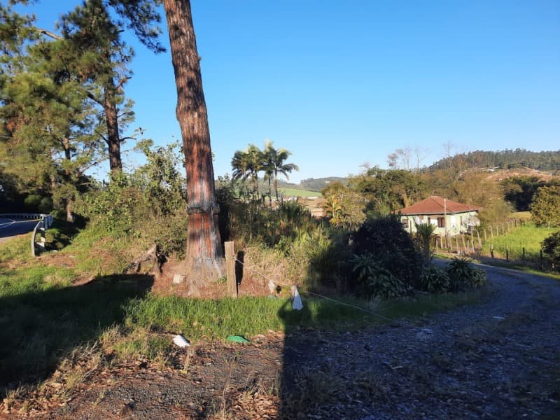 Foto 8 de 53: Terreno em leilão em Agronômica - SC — LOTE 001 Imóvel