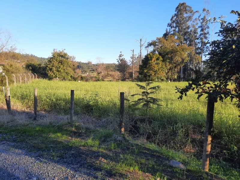 Foto 4 de 53: Terreno em leilão em Agronômica - SC — LOTE 001 Imóvel