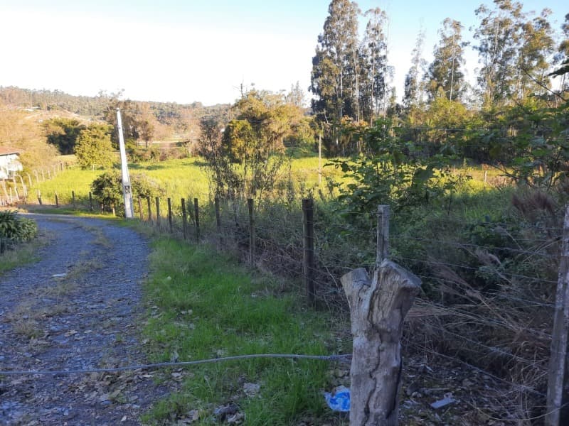 Foto 11 de 53: Terreno em leilão em Agronômica - SC — LOTE 001 Imóvel