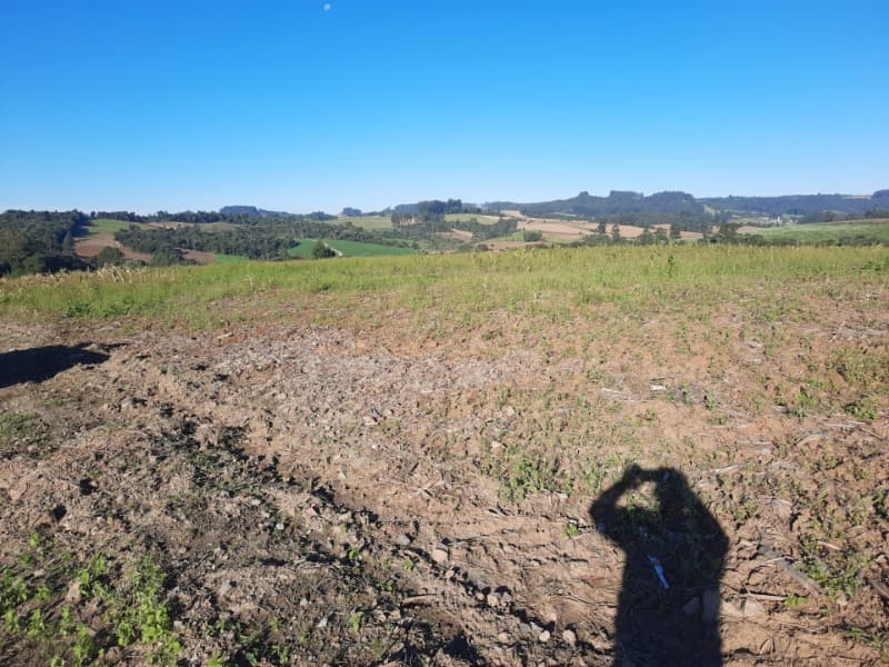 Foto 20 de 53: Terreno em leilão em Agronômica - SC — LOTE 001 Imóvel