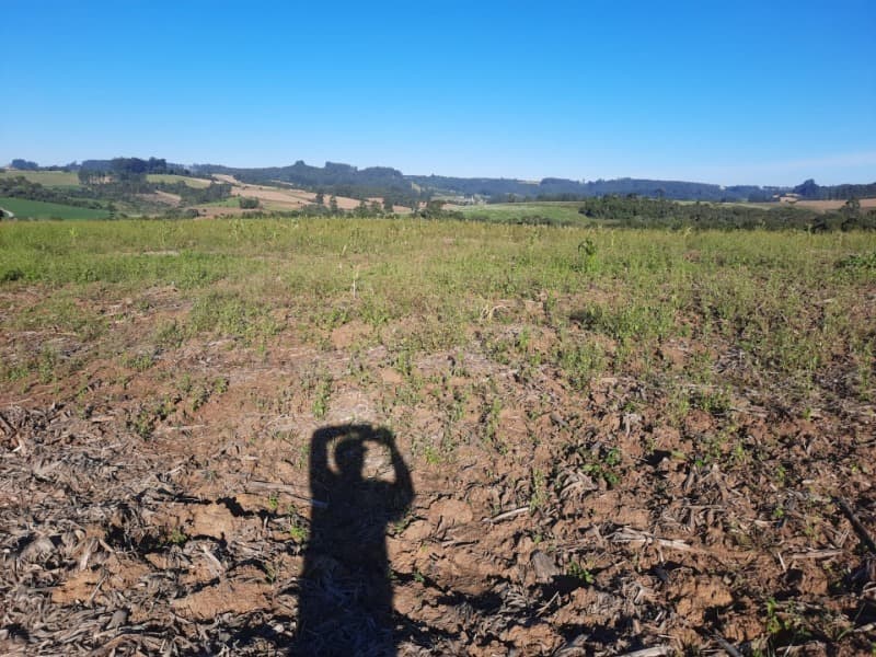 Foto 17 de 53: Terreno em leilão em Agronômica - SC — LOTE 001 Imóvel