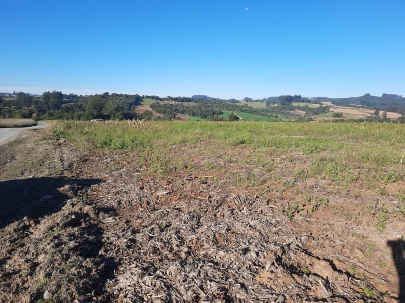 Foto 18 de 53: Terreno em leilão em Agronômica - SC — LOTE 001 Imóvel