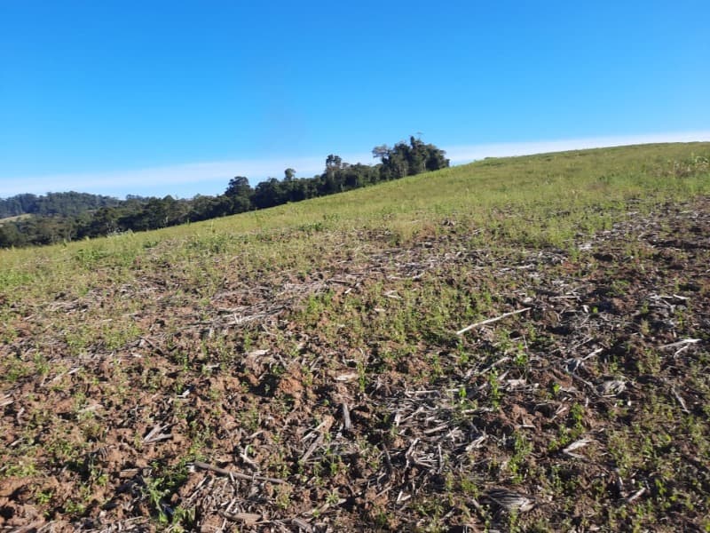 Foto 27 de 53: Terreno em leilão em Agronômica - SC — LOTE 001 Imóvel