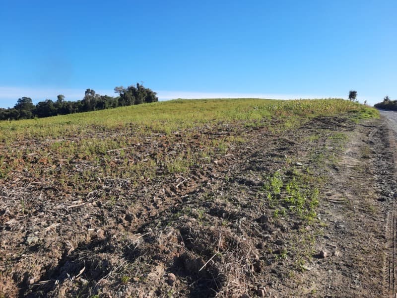 Foto 23 de 53: Terreno em leilão em Agronômica - SC — LOTE 001 Imóvel