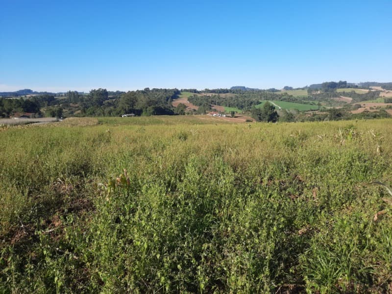 Foto 25 de 53: Terreno em leilão em Agronômica - SC — LOTE 001 Imóvel