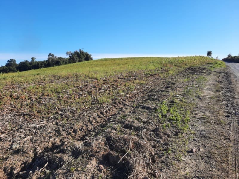 Foto 26 de 53: Terreno em leilão em Agronômica - SC — LOTE 001 Imóvel