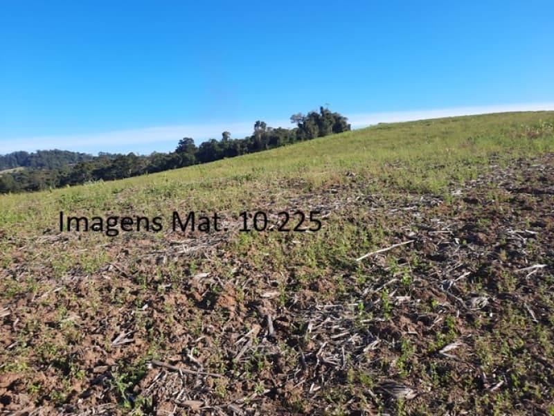 Foto 16 de 53: Terreno em leilão em Agronômica - SC — LOTE 001 Imóvel