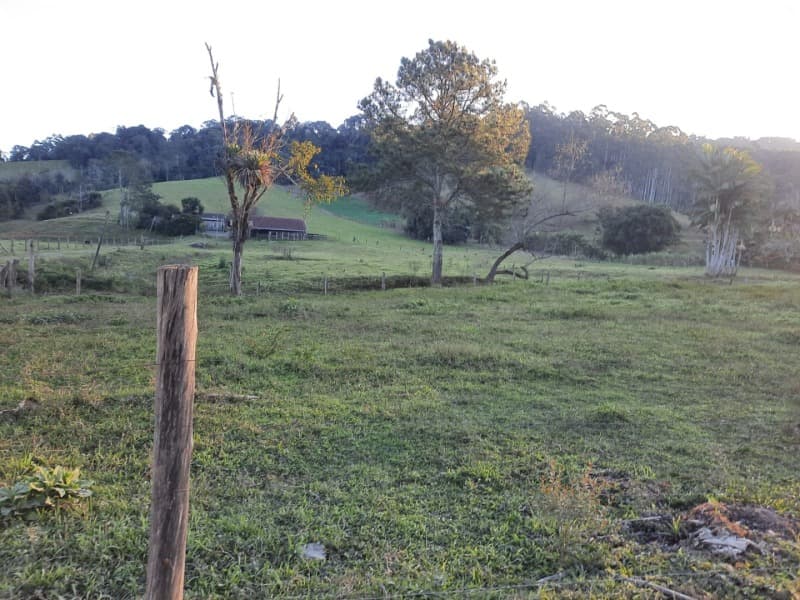 Foto 36 de 53: Terreno em leilão em Agronômica - SC — LOTE 001 Imóvel