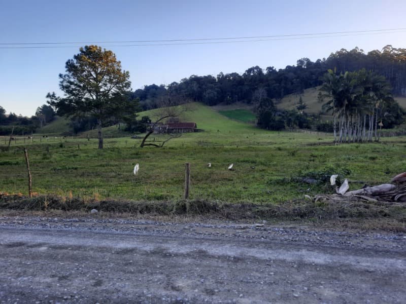 Foto 31 de 53: Terreno em leilão em Agronômica - SC — LOTE 001 Imóvel
