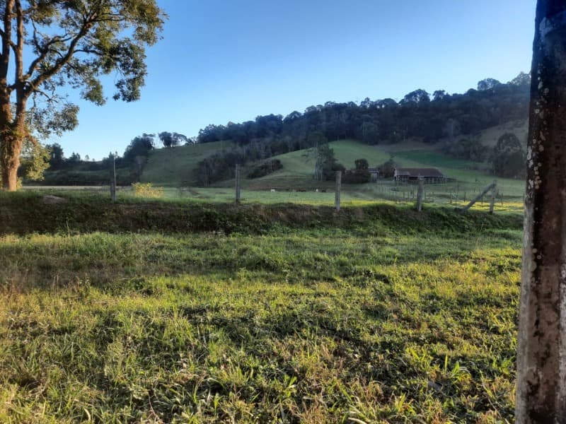 Foto 48 de 53: Terreno em leilão em Agronômica - SC — LOTE 001 Imóvel