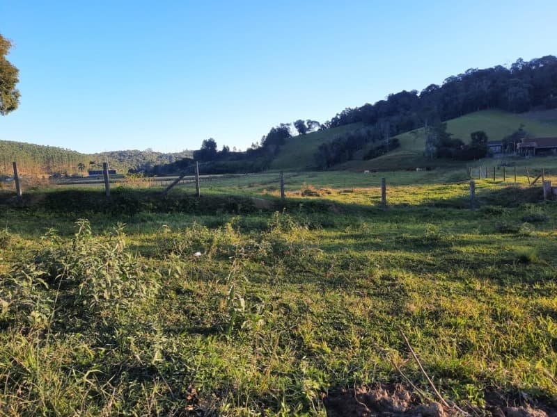 Foto 47 de 53: Terreno em leilão em Agronômica - SC — LOTE 001 Imóvel