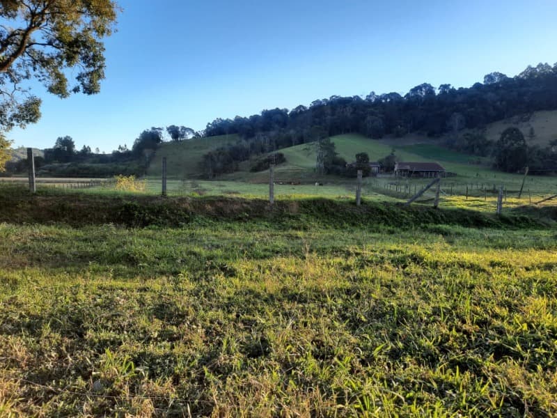 Foto 53 de 53: Terreno em leilão em Agronômica - SC — LOTE 001 Imóvel