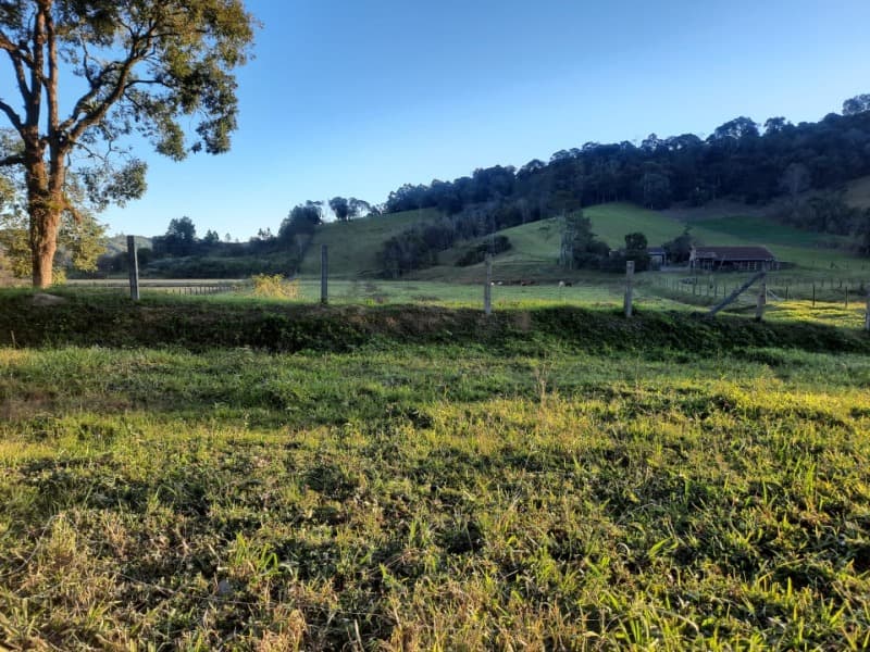 Foto 51 de 53: Terreno em leilão em Agronômica - SC — LOTE 001 Imóvel