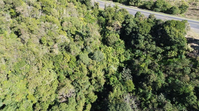 Foto 1 de 25: Terreno em leilão em São José Do Herval - RS — LOTE 001 Imóvel