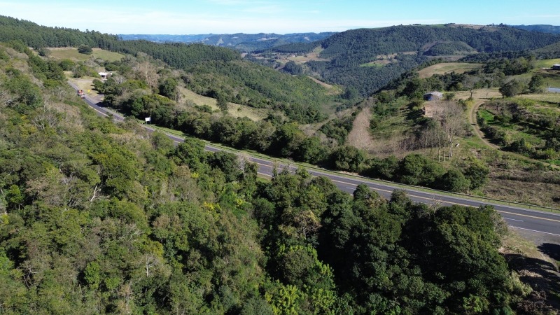 Foto 5 de 25: Terreno em leilão em São José Do Herval - RS — LOTE 001 Imóvel