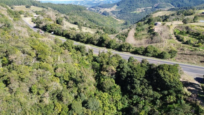 Foto 8 de 25: Terreno em leilão em São José Do Herval - RS — LOTE 001 Imóvel