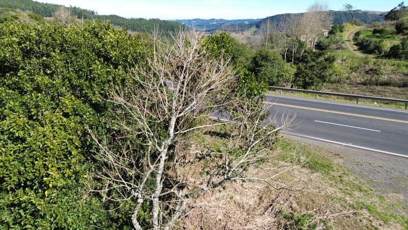 Foto 13 de 25: Terreno em leilão em São José Do Herval - RS — LOTE 001 Imóvel