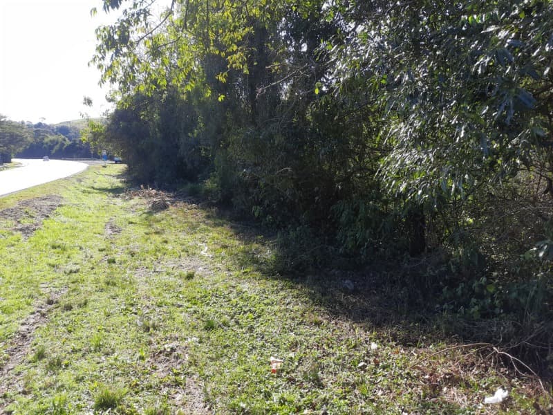 Foto 15 de 25: Terreno em leilão em São José Do Herval - RS — LOTE 001 Imóvel