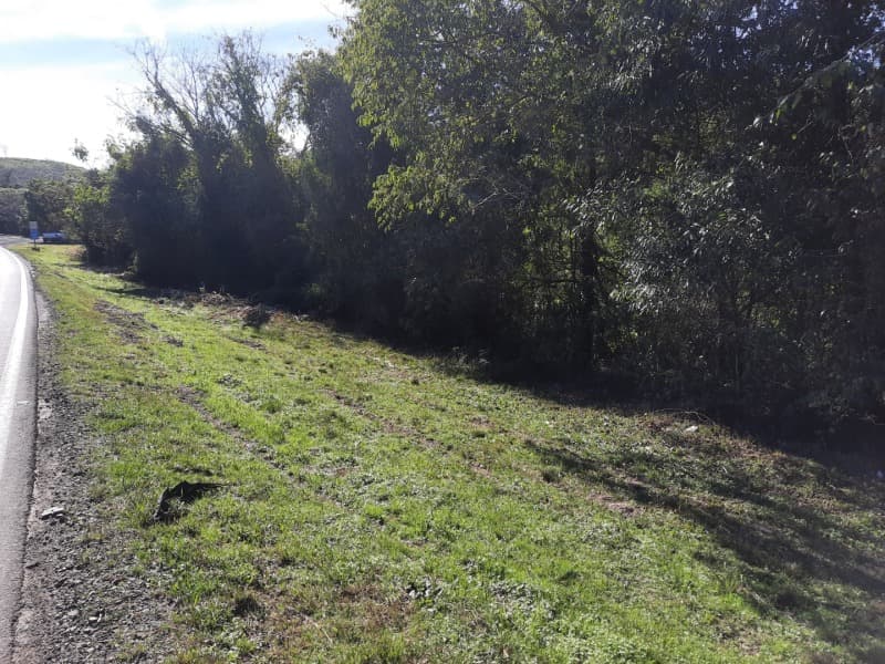 Foto 16 de 25: Terreno em leilão em São José Do Herval - RS — LOTE 001 Imóvel