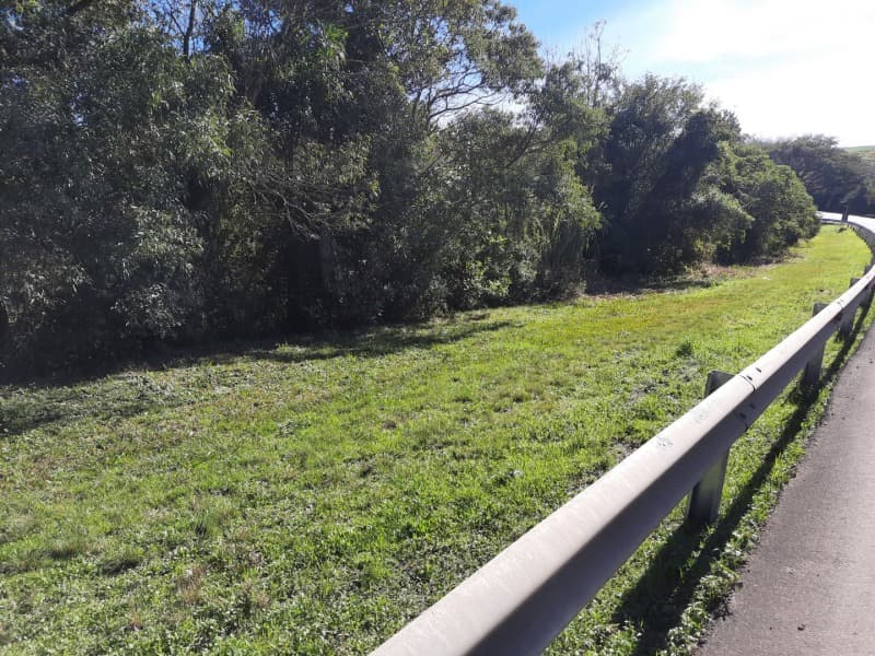 Foto 18 de 25: Terreno em leilão em São José Do Herval - RS — LOTE 001 Imóvel