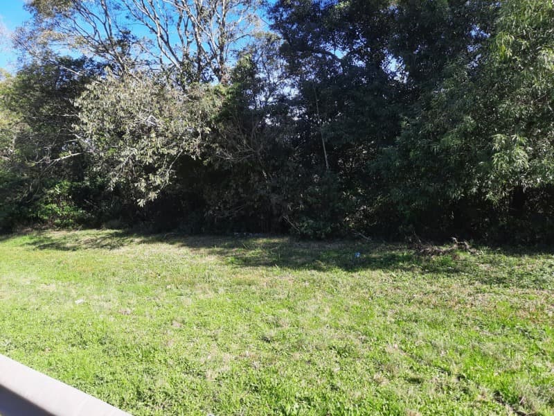 Foto 19 de 25: Terreno em leilão em São José Do Herval - RS — LOTE 001 Imóvel