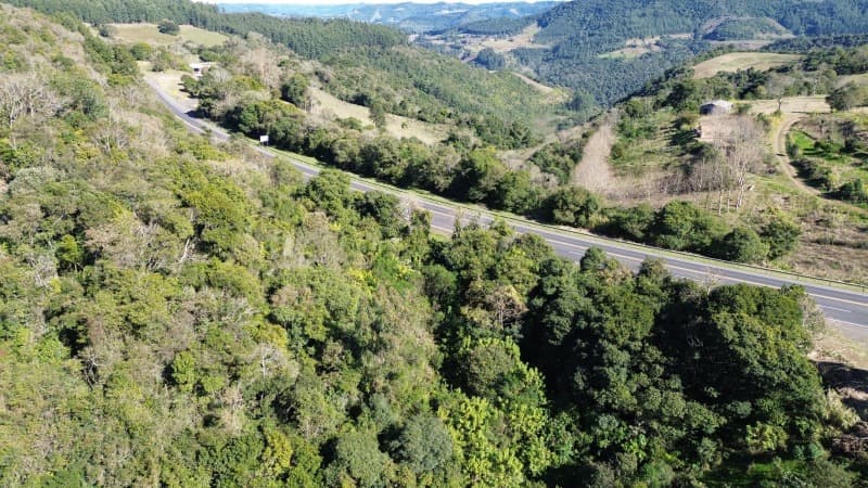 Foto 24 de 25: Terreno em leilão em São José Do Herval - RS — LOTE 001 Imóvel