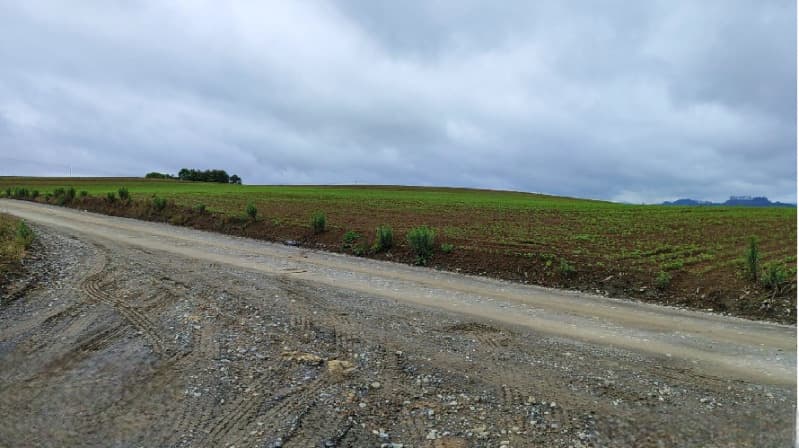 Foto 2 de 22: Terreno em leilão em Vidal Ramos - SC — LOTE 001 Imóvel