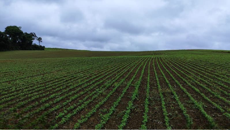 Foto 5 de 22: Terreno em leilão em Vidal Ramos - SC — LOTE 001 Imóvel