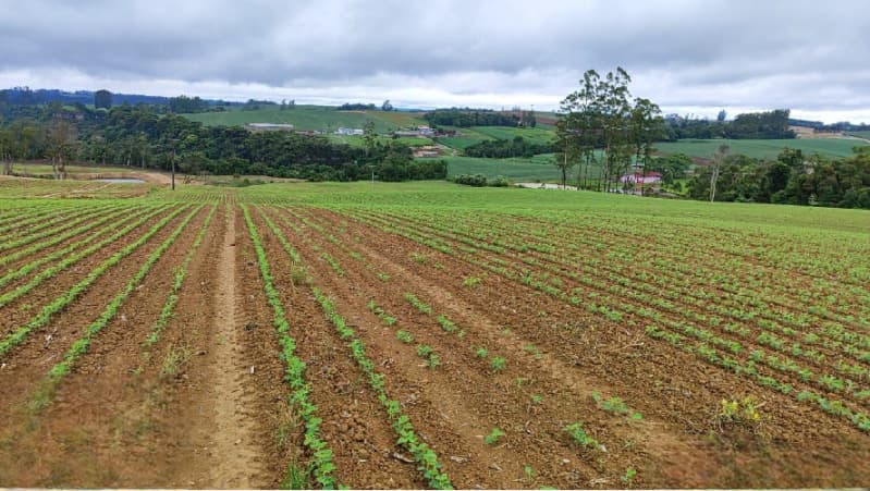 Foto 6 de 22: Terreno em leilão em Vidal Ramos - SC — LOTE 001 Imóvel