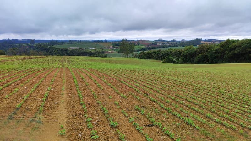Foto 7 de 22: Terreno em leilão em Vidal Ramos - SC — LOTE 001 Imóvel