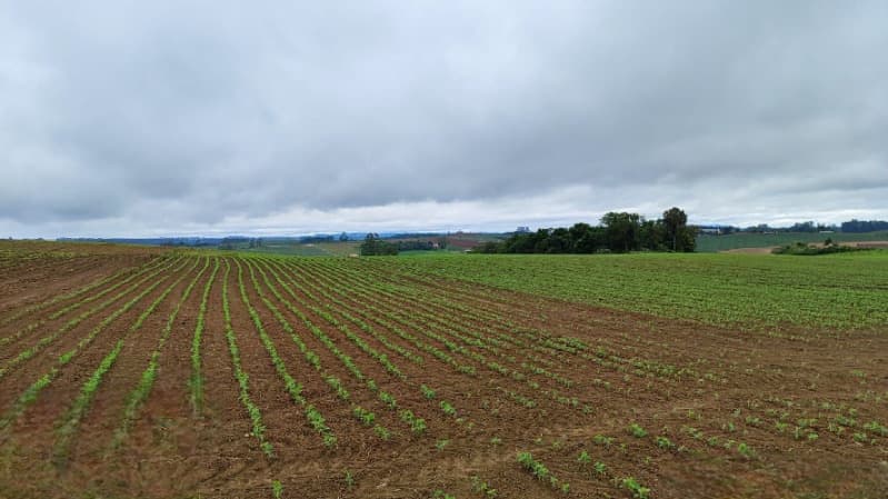 Foto 8 de 22: Terreno em leilão em Vidal Ramos - SC — LOTE 001 Imóvel