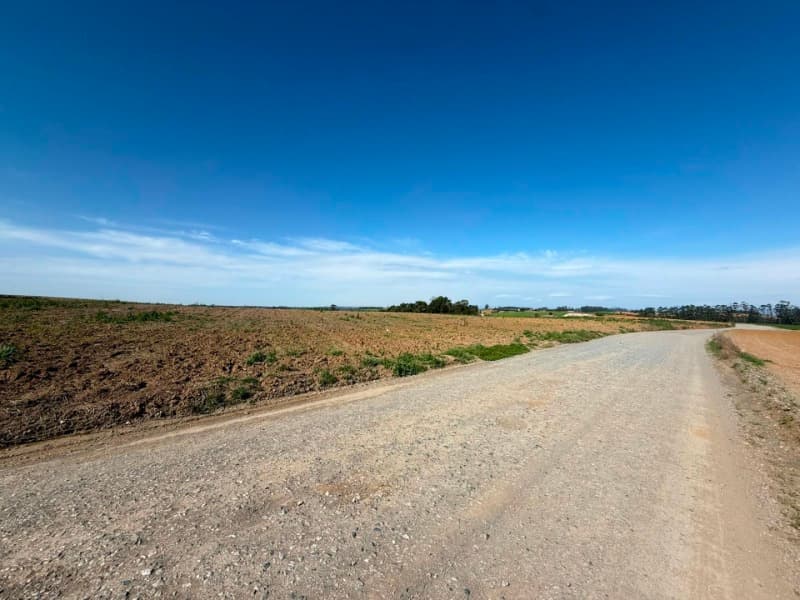 Foto 9 de 22: Terreno em leilão em Vidal Ramos - SC — LOTE 001 Imóvel