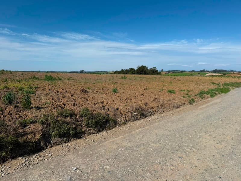 Foto 10 de 22: Terreno em leilão em Vidal Ramos - SC — LOTE 001 Imóvel