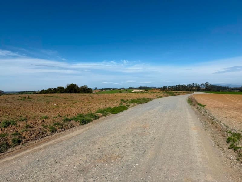 Foto 11 de 22: Terreno em leilão em Vidal Ramos - SC — LOTE 001 Imóvel