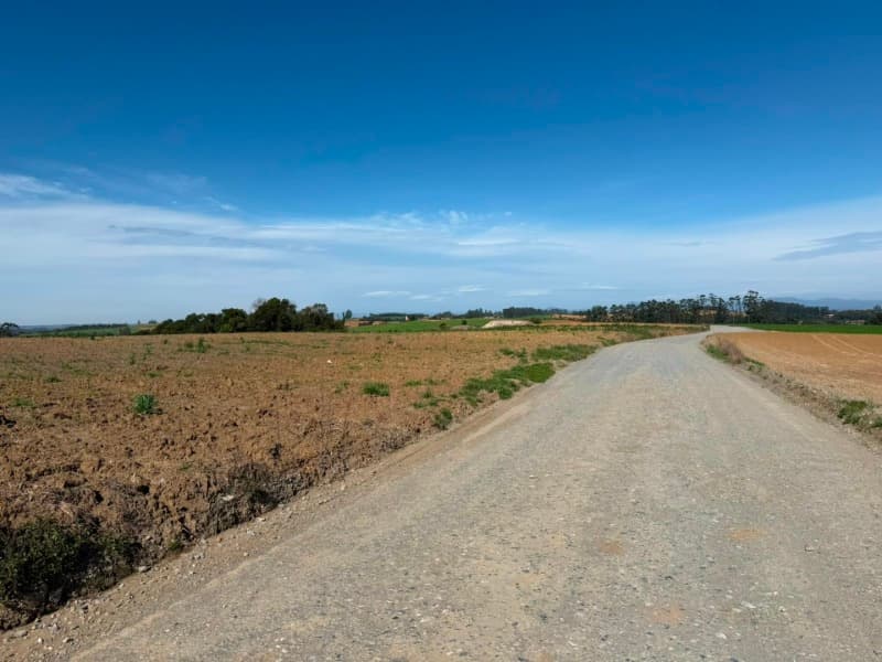 Foto 13 de 22: Terreno em leilão em Vidal Ramos - SC — LOTE 001 Imóvel